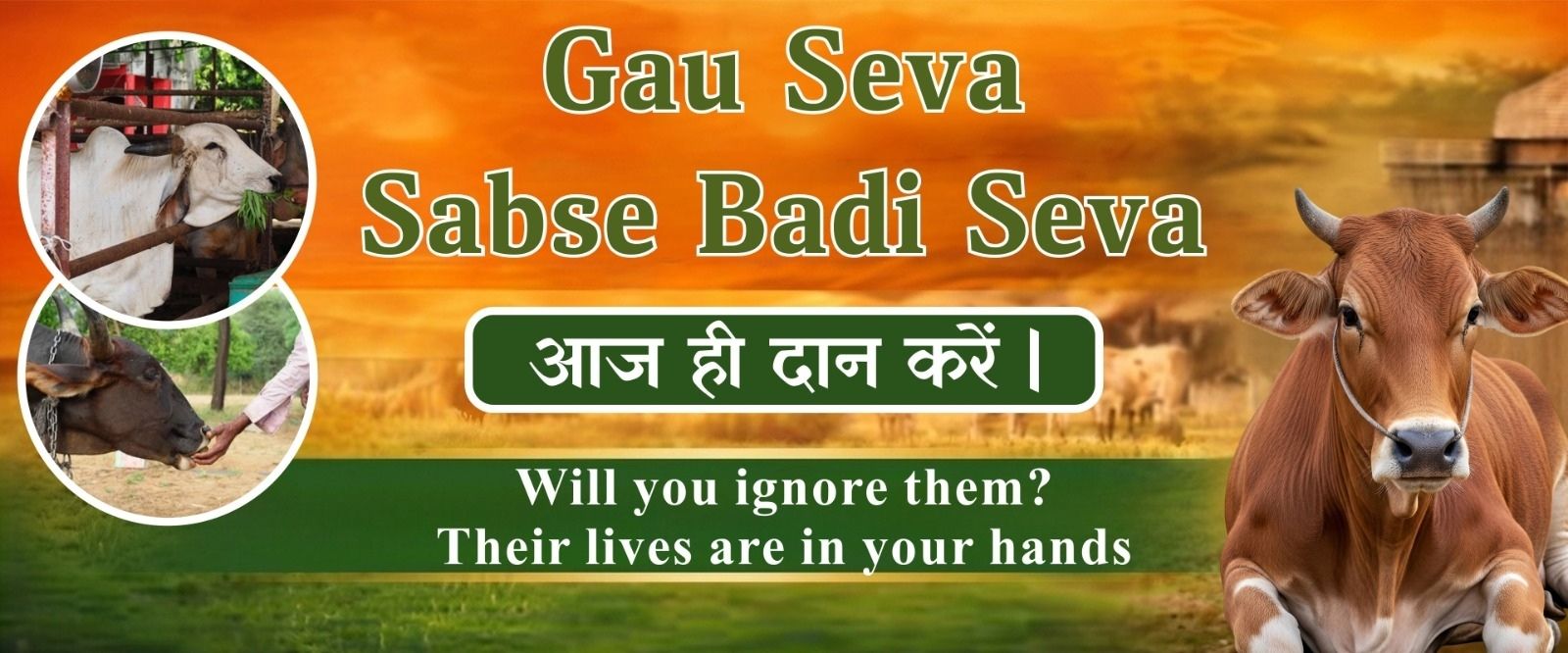 WhatsApp Image 2026-05-22 at 3.30.12 PM