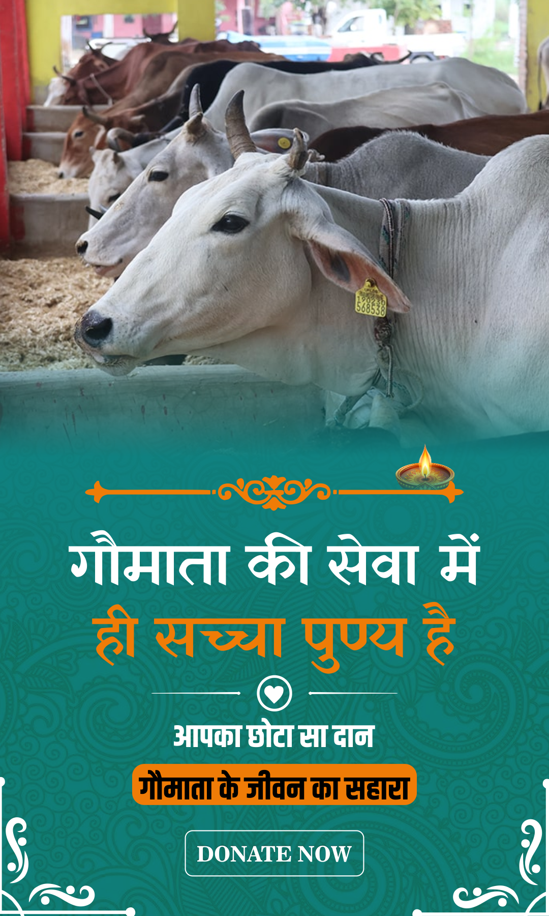 cow mobile banner