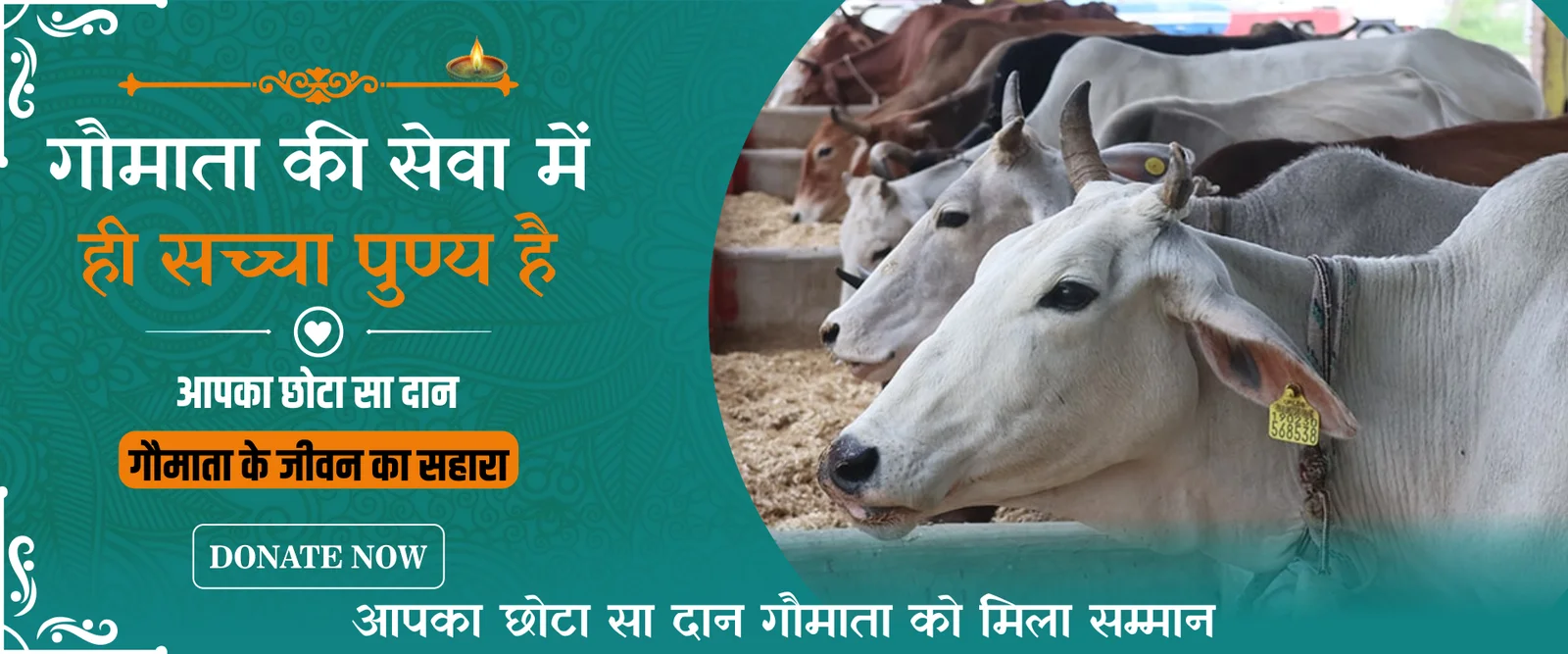 cow desktop banner